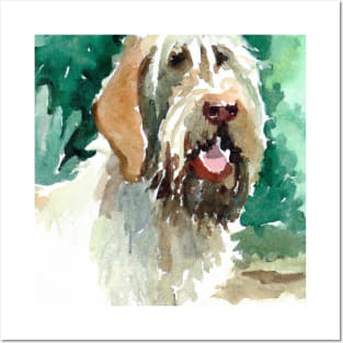 Spinone Italiano Watercolor - Dog Lovers Posters and Art